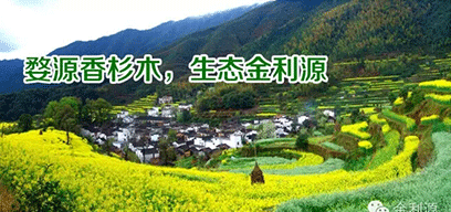 金利源板材/金品質(zhì) 源生態(tài).從源頭精挑細(xì)選,為品質(zhì)保駕護(hù)航——中國(guó)板材十大品牌品質(zhì)篇